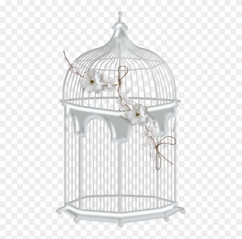 Detail Birdcage Png Nomer 33