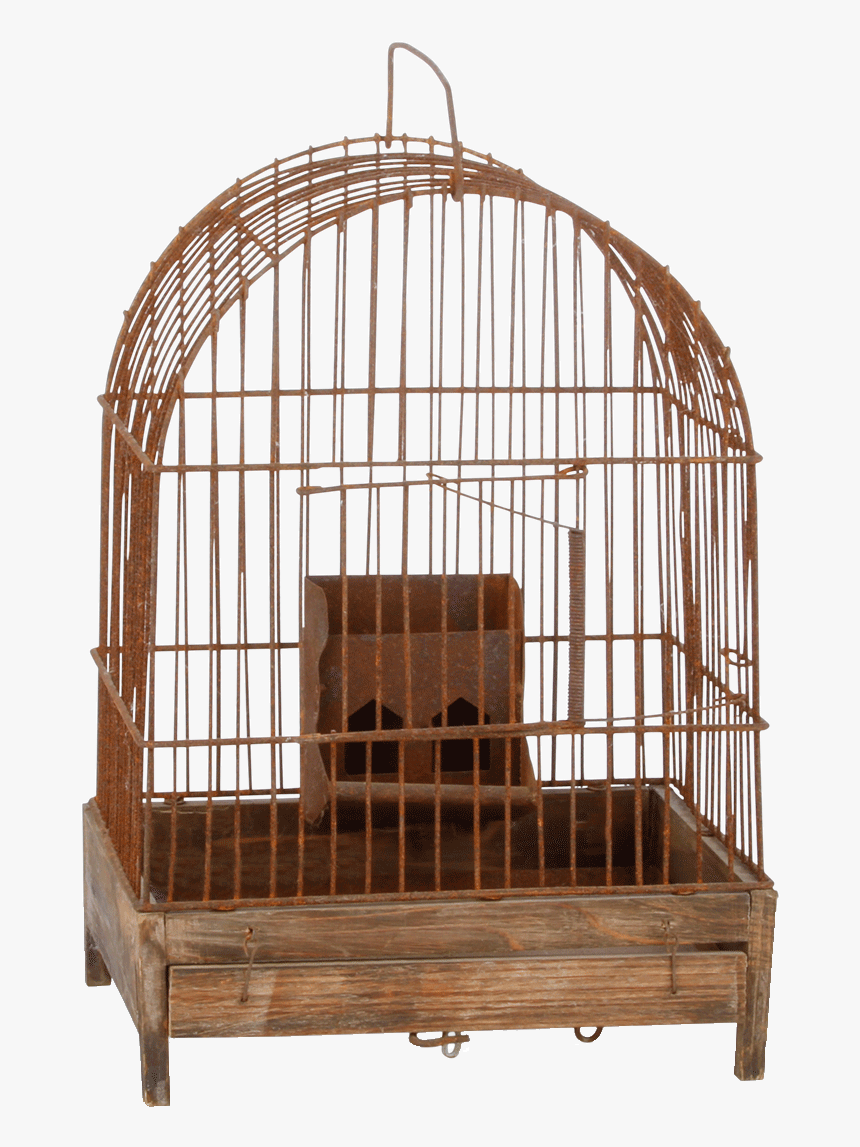 Detail Birdcage Png Nomer 35