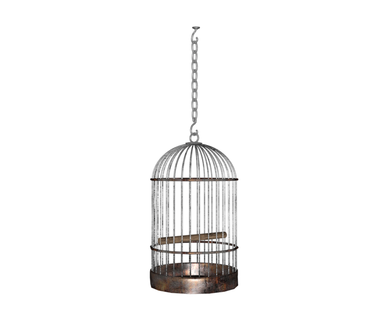 Detail Birdcage Png Nomer 5
