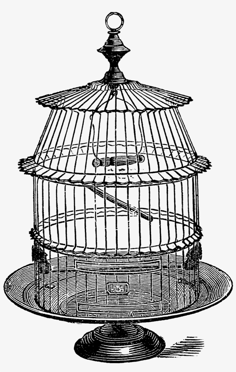 Detail Birdcage Png Nomer 43