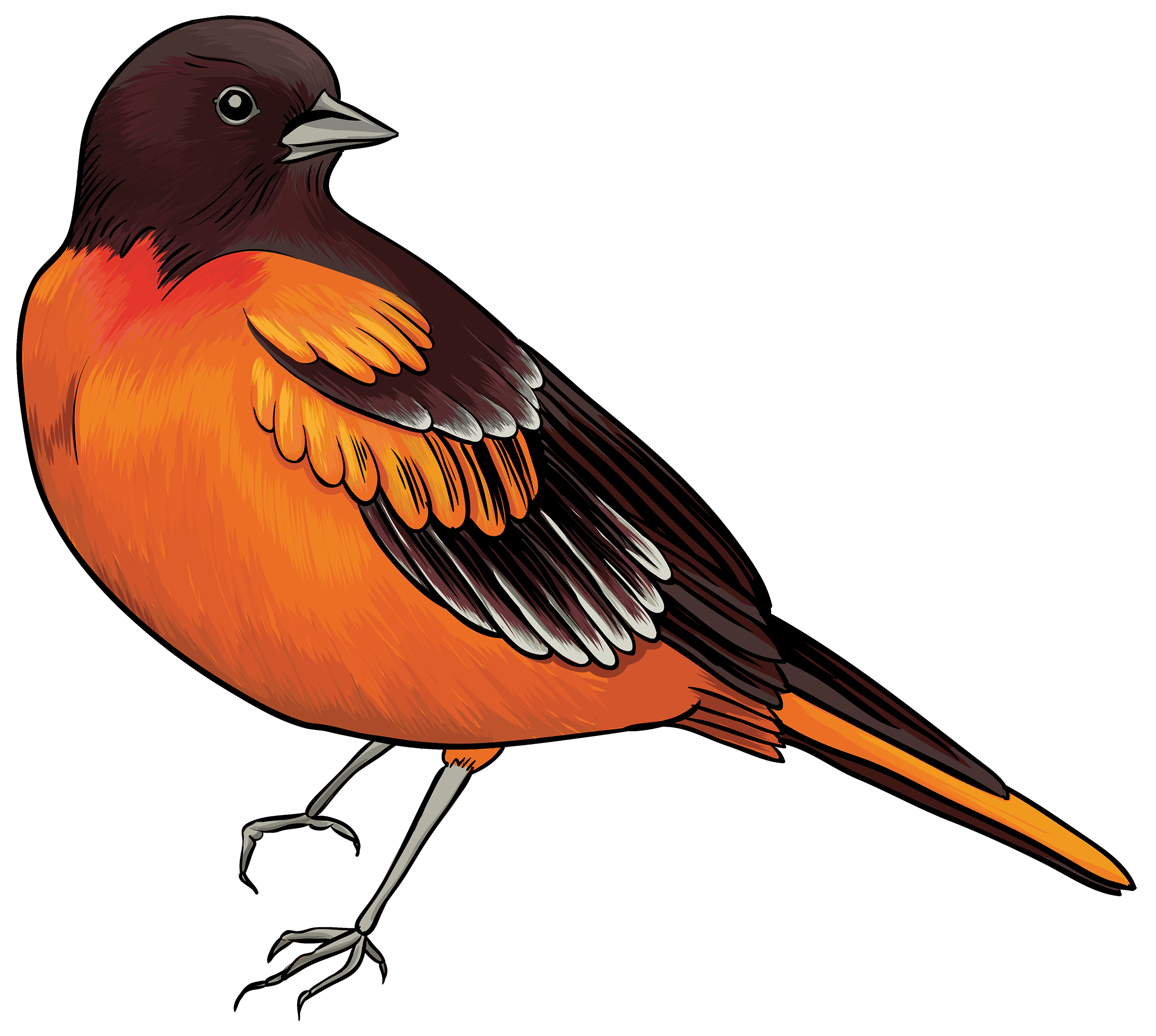 Detail Birds Clipart Nomer 32