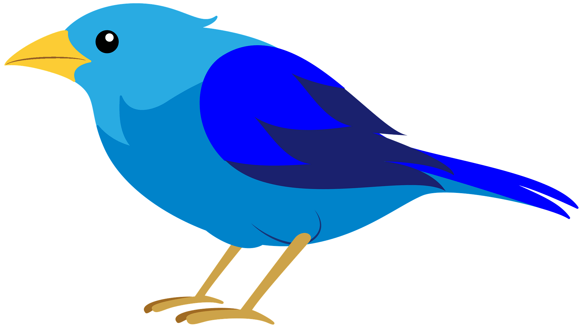 Detail Birds Clipart Nomer 38