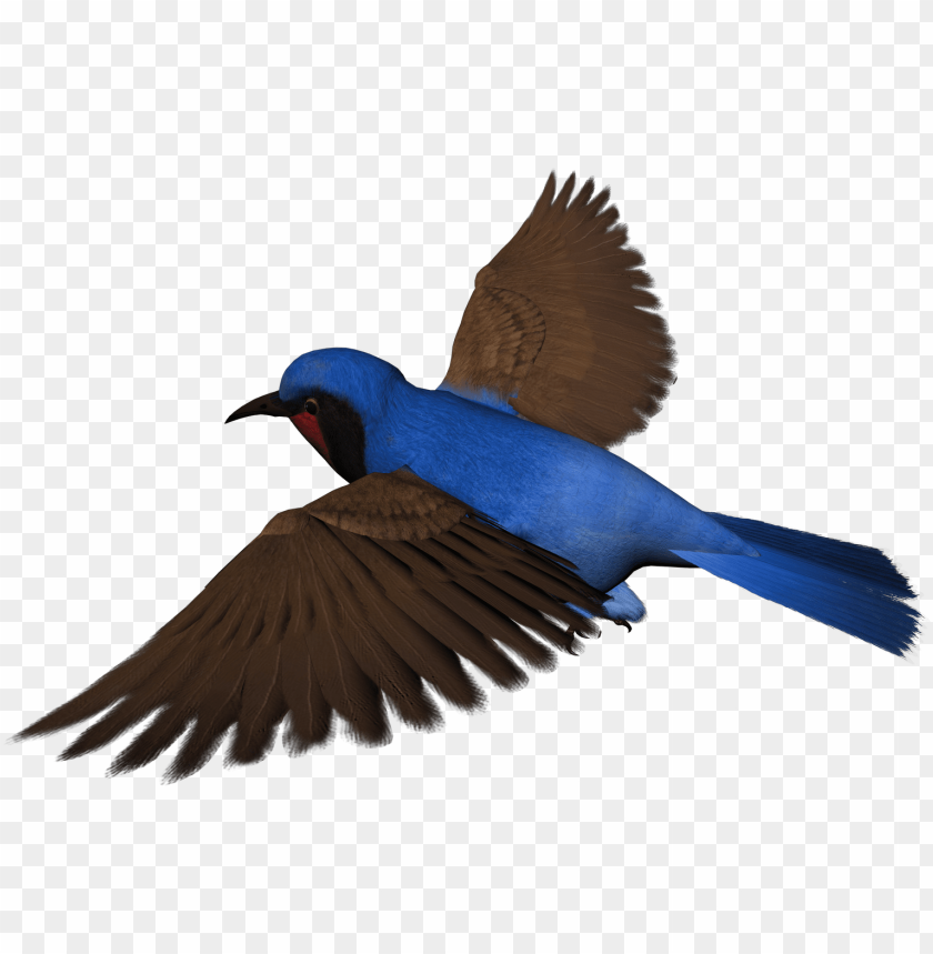 Detail Birds Clipart Nomer 48