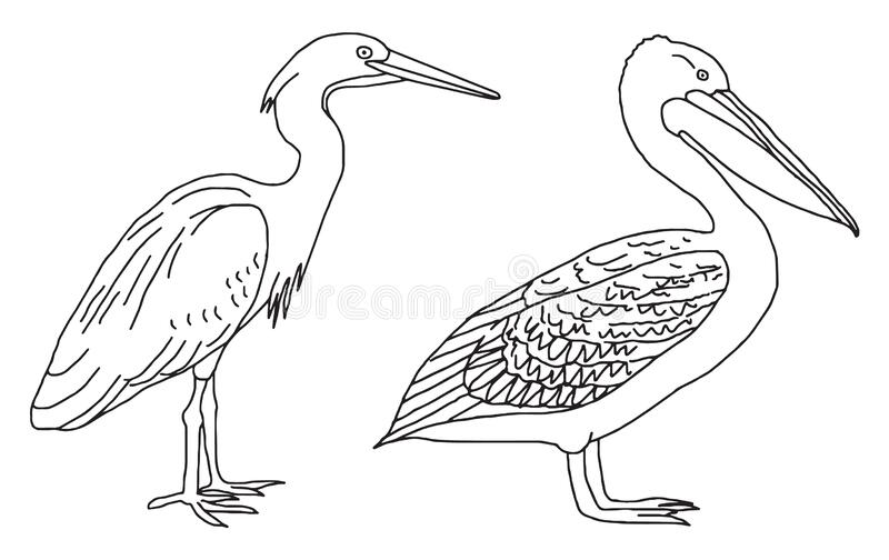 Detail Birds Clipart Black And White Nomer 26