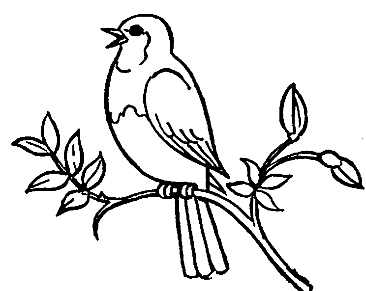 Detail Birds Clipart Black And White Nomer 5