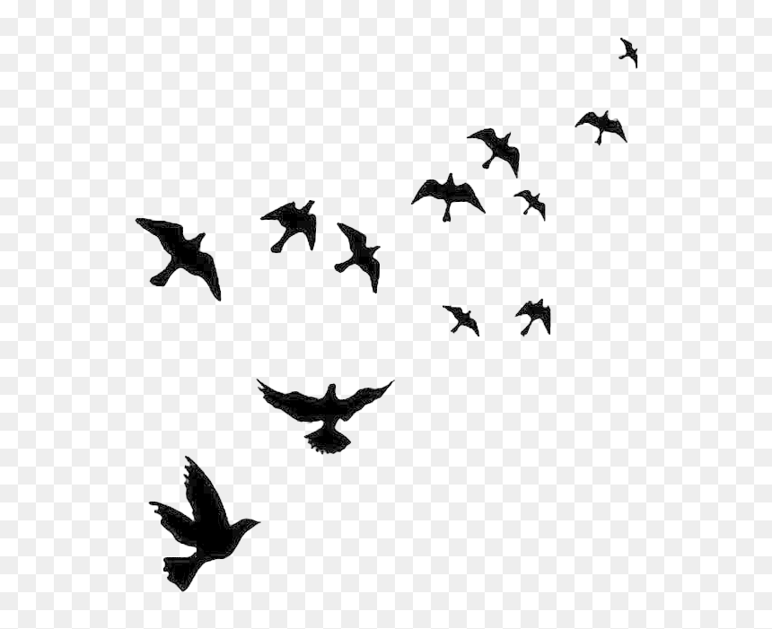 Detail Birds Fly Png Nomer 10