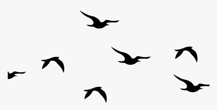 Detail Birds Fly Png Nomer 17