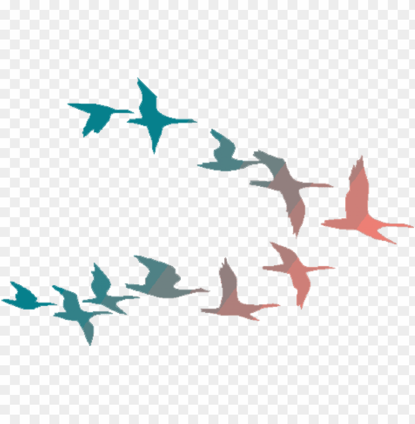 Detail Birds Fly Png Nomer 29