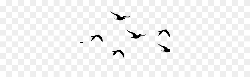 Detail Birds Fly Png Nomer 38