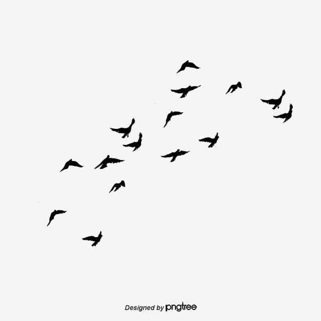 Detail Birds Fly Png Nomer 47