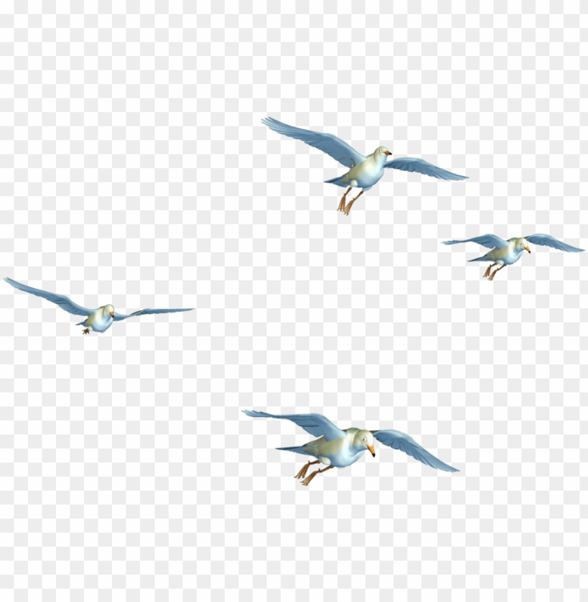 Detail Birds Fly Png Nomer 53
