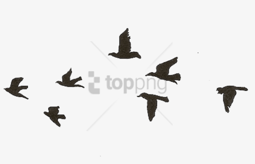 Detail Birds Fly Png Nomer 8