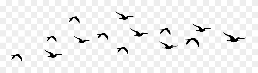 Detail Birds Flying Png Nomer 15