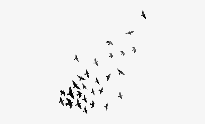 Detail Birds Flying Png Nomer 40