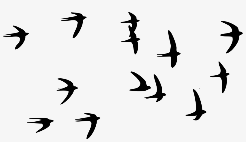 Detail Birds Flying Png Nomer 56