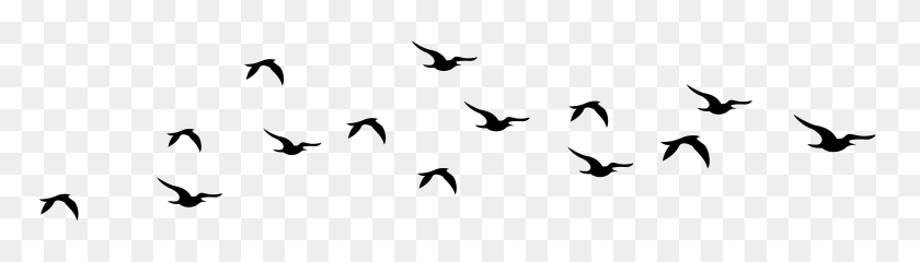 Detail Birds Flying Silhouette Png Nomer 9