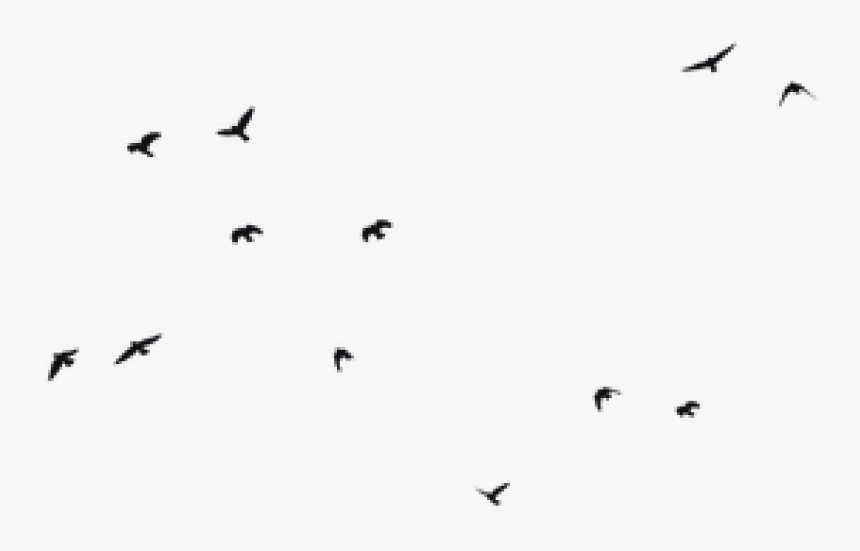 Detail Birds Flying Silhouette Png Nomer 10