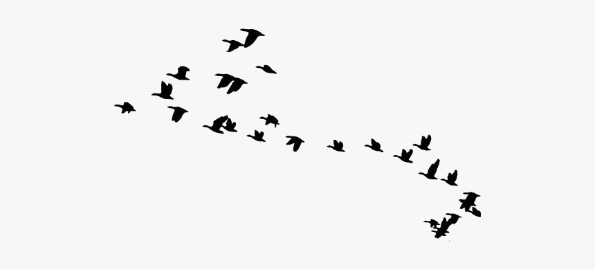 Detail Birds Flying Silhouette Png Nomer 12