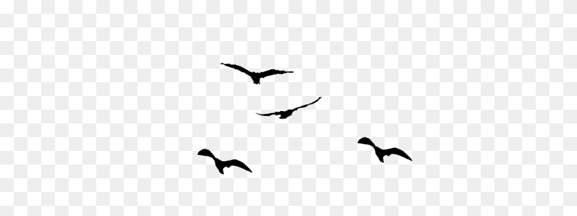 Detail Birds Flying Silhouette Png Nomer 13