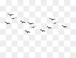 Detail Birds Flying Silhouette Png Nomer 18