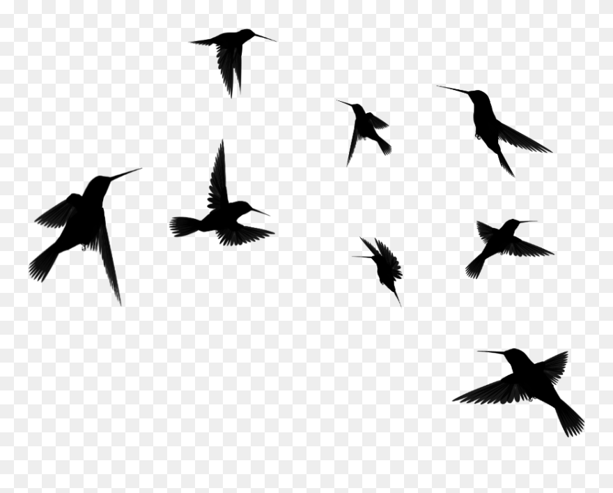 Detail Birds Flying Silhouette Png Nomer 19