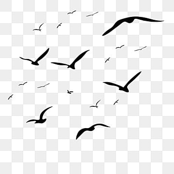 Detail Birds Flying Silhouette Png Nomer 29