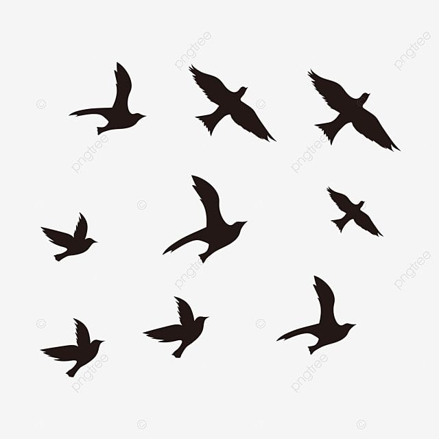 Detail Birds Flying Silhouette Png Nomer 30