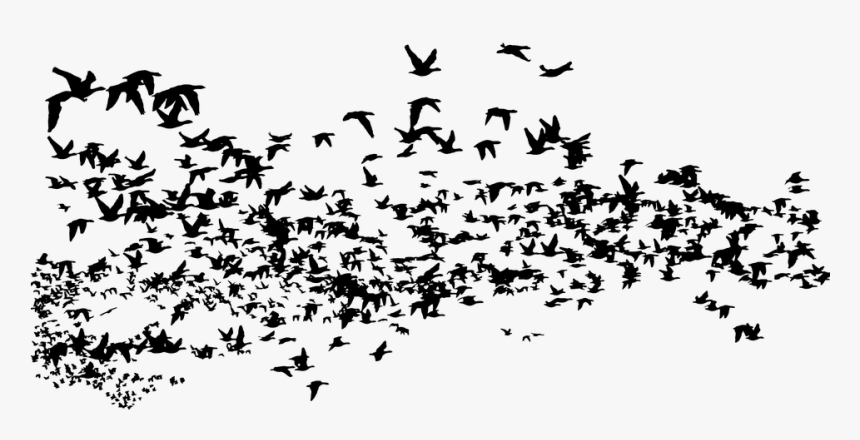 Detail Birds Flying Silhouette Png Nomer 31