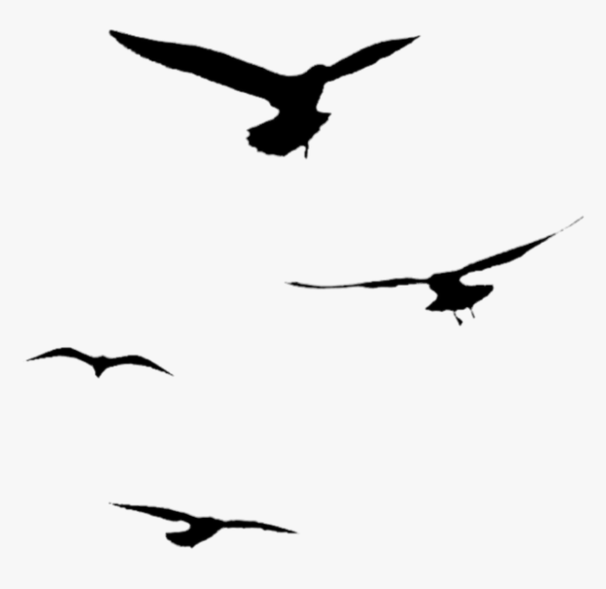 Detail Birds Flying Silhouette Png Nomer 32