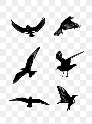 Detail Birds Flying Silhouette Png Nomer 33