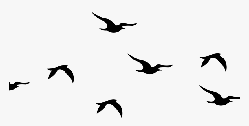 Detail Birds Flying Silhouette Png Nomer 4