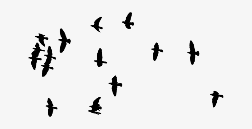 Detail Birds Flying Silhouette Png Nomer 35