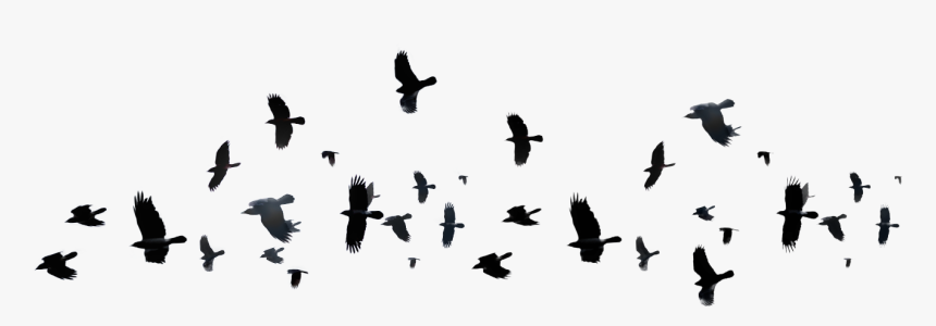 Detail Birds Flying Silhouette Png Nomer 36