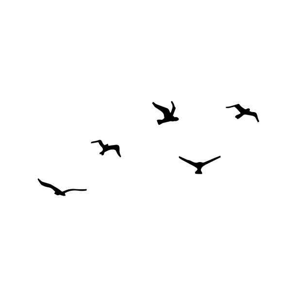 Detail Birds Flying Silhouette Png Nomer 37