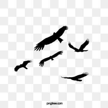 Detail Birds Flying Silhouette Png Nomer 40