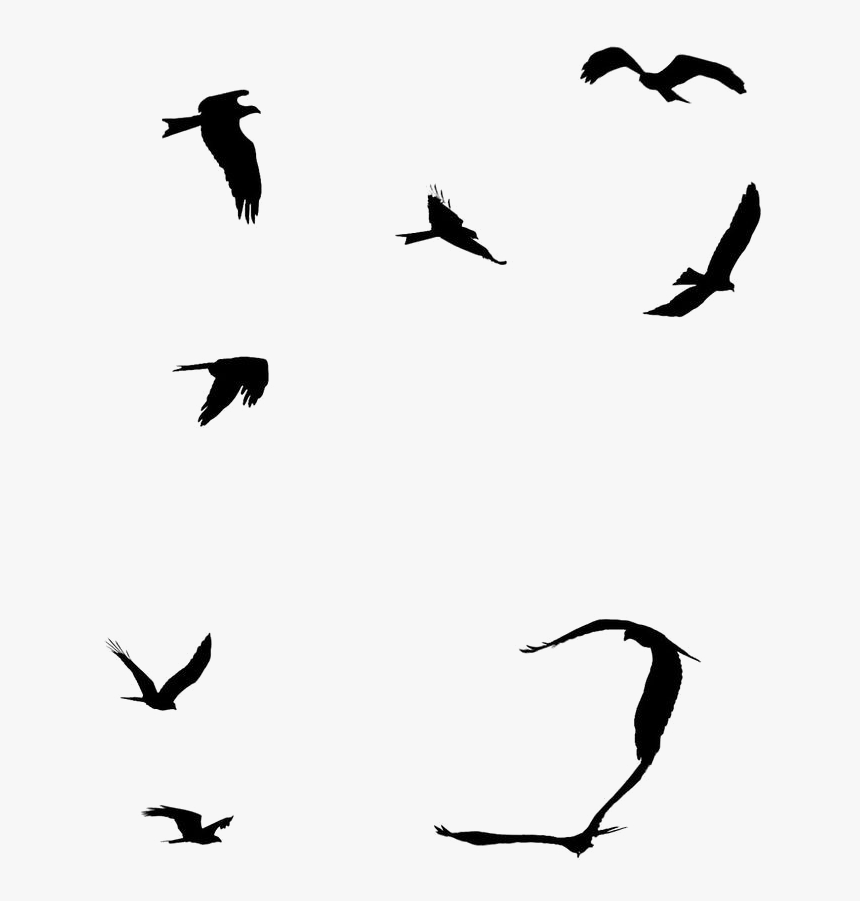 Detail Birds Flying Silhouette Png Nomer 48