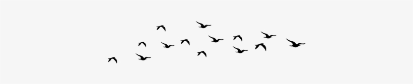 Detail Birds Flying Silhouette Png Nomer 49