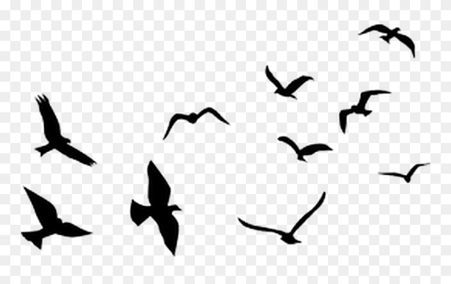 Detail Birds Flying Silhouette Png Nomer 6