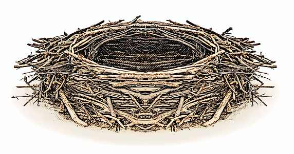 Detail Birds In A Nest Clipart Nomer 33