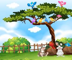 Detail Birds In A Tree Clipart Nomer 31