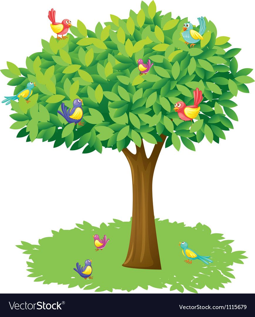 Detail Birds In A Tree Clipart Nomer 5