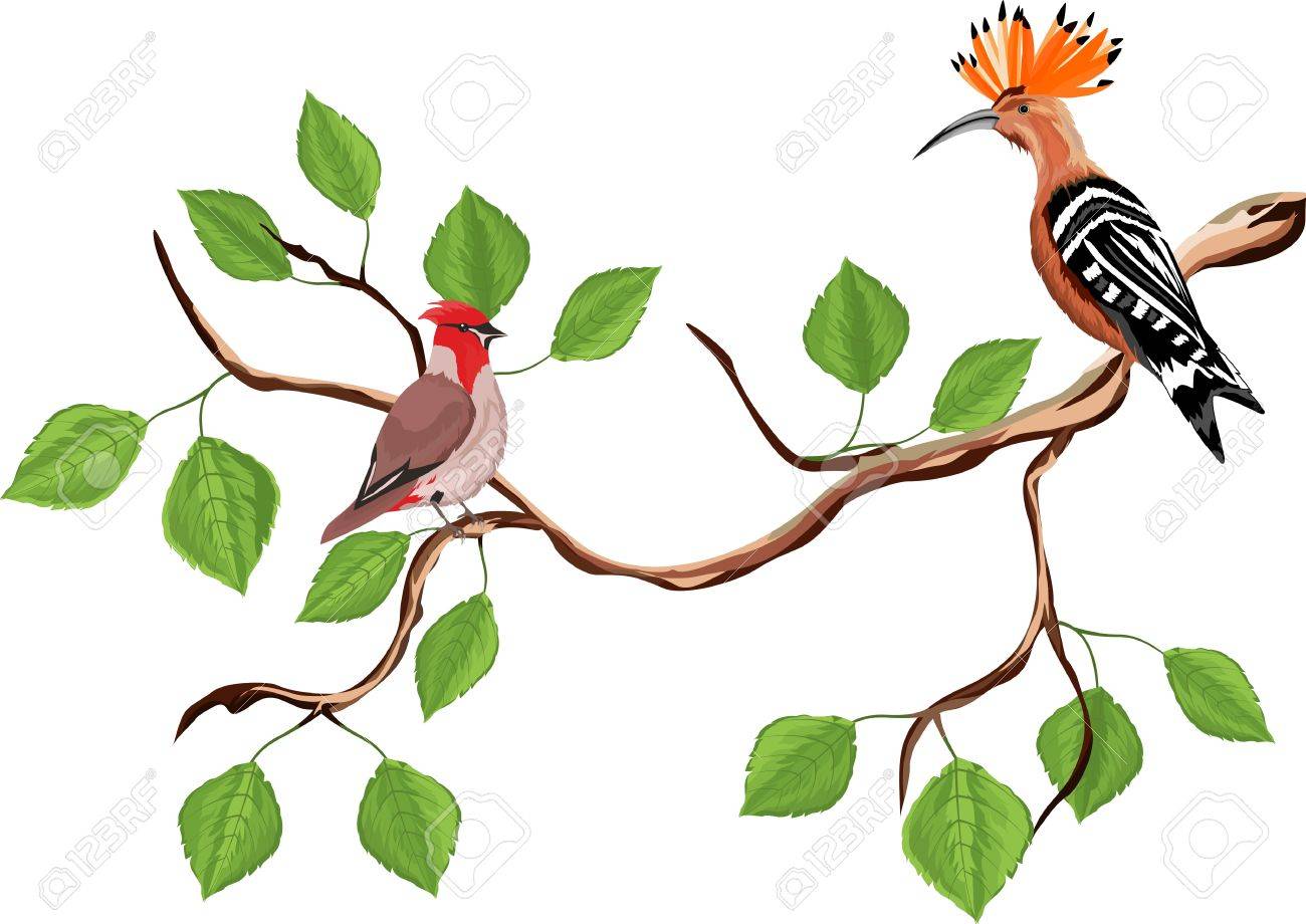 Detail Birds In A Tree Clipart Nomer 45
