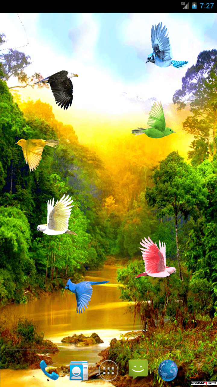 Detail Birds Live Wallpaper Nomer 14