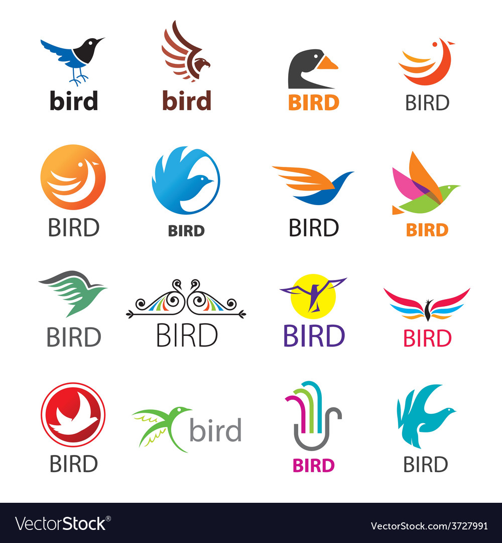 Detail Birds Logo Nomer 12