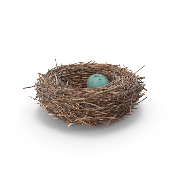 Birds Nest Png - KibrisPDR