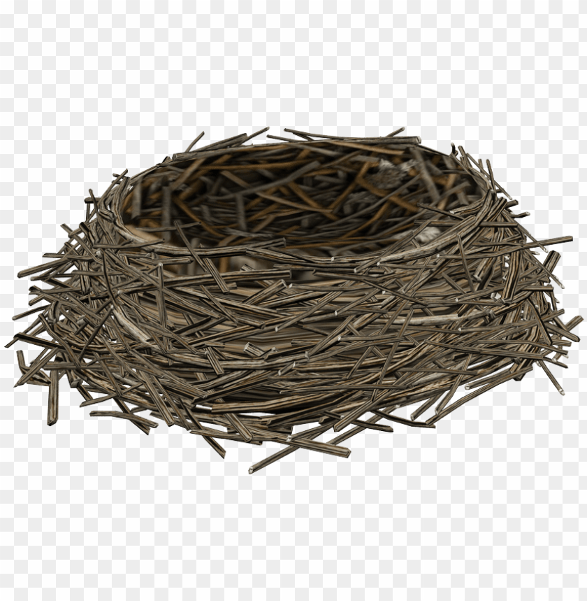 Detail Birds Nest Png Nomer 2