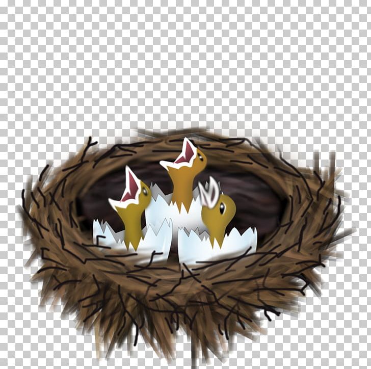 Detail Birds Nest Png Nomer 38