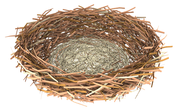 Detail Birds Nest Png Nomer 49