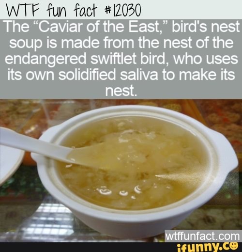 Detail Birds Nest Soup Meme Nomer 5