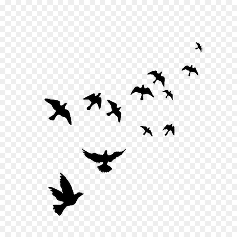 Detail Birds No Background Nomer 32